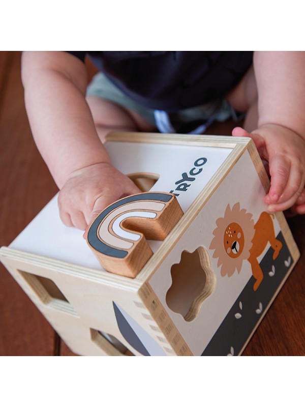 Tryco - Wooden Footprint Shape Sorter