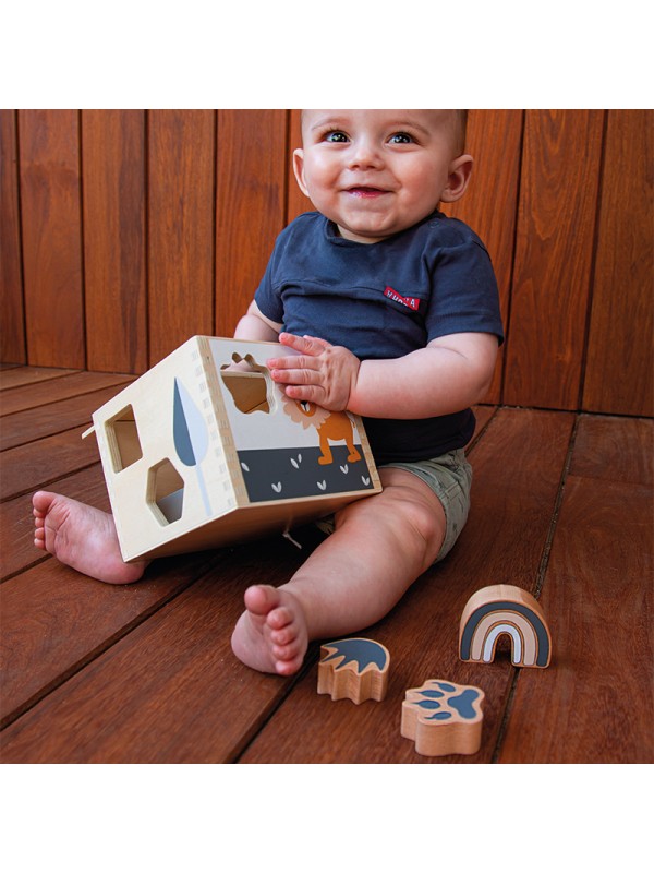 Tryco - Wooden Footprint Shape Sorter